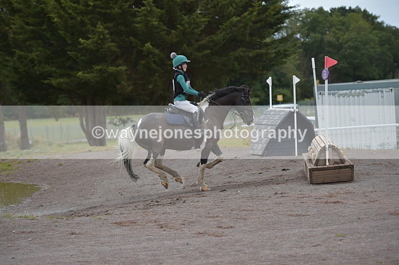 NGP_2733 - XC Time 11:37 to 11:57