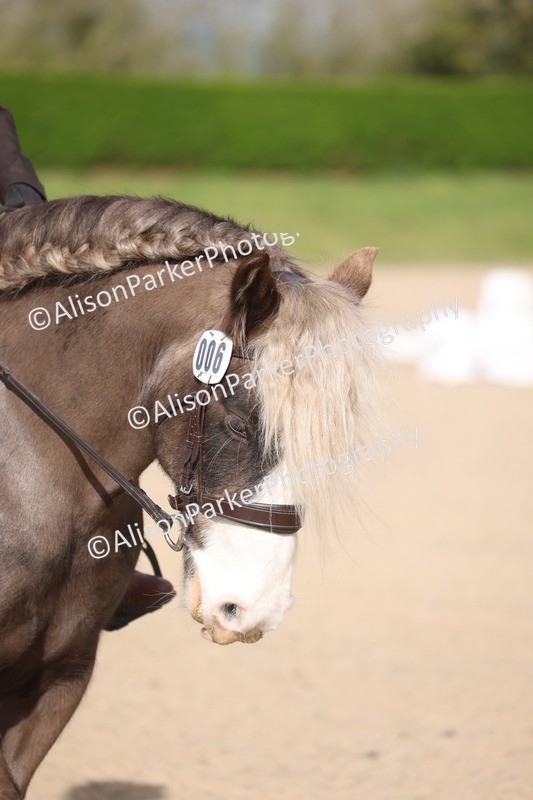 20260405-0030 - Class 1 - Prelim 5