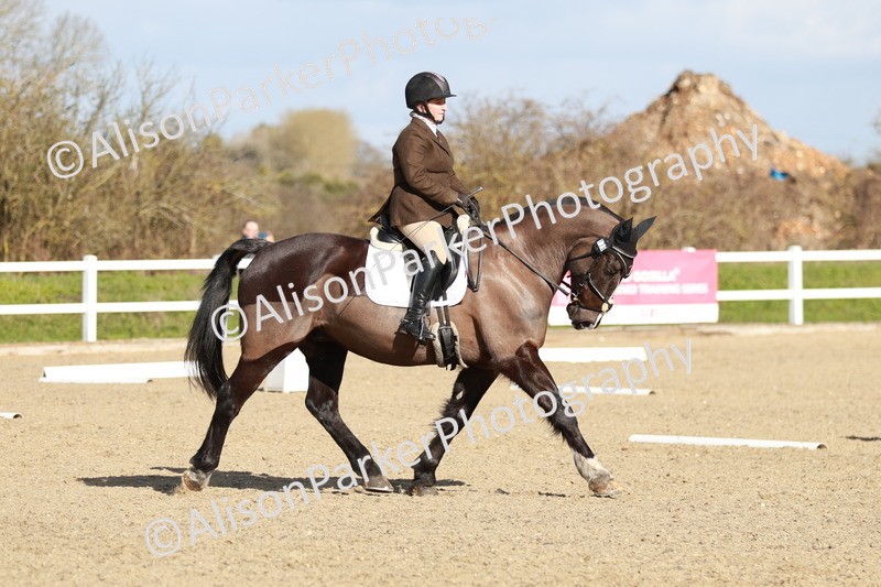 20260314-4449 - DR4 - Prelim 2