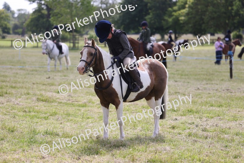 20260614-0705 - Class 20 - Beginners Working Hunter Pony