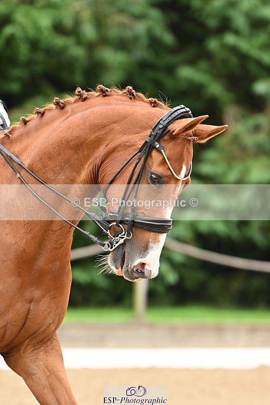 240811-102611-04737 - 156-Stacey.Escrig-Joie.De.Vivre