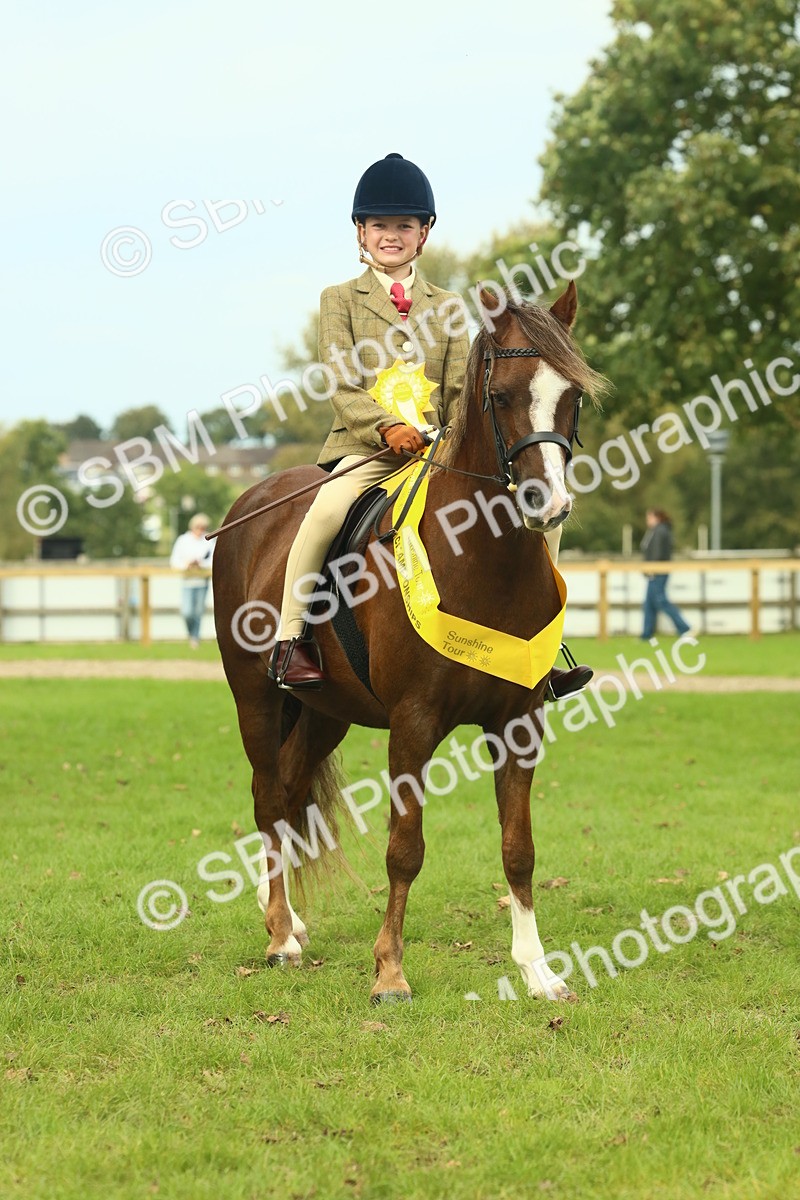 SBM_70012 - S59 - Mountain & Moorland Ridden Small Breeds
