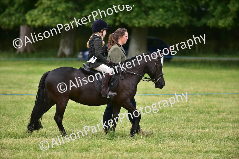 20260614-3627 - Class 15 - Prettiest Mare