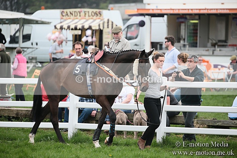 PtP 210418 129 - South & West Wilts Point-to-Point Larkhill 21/04/18