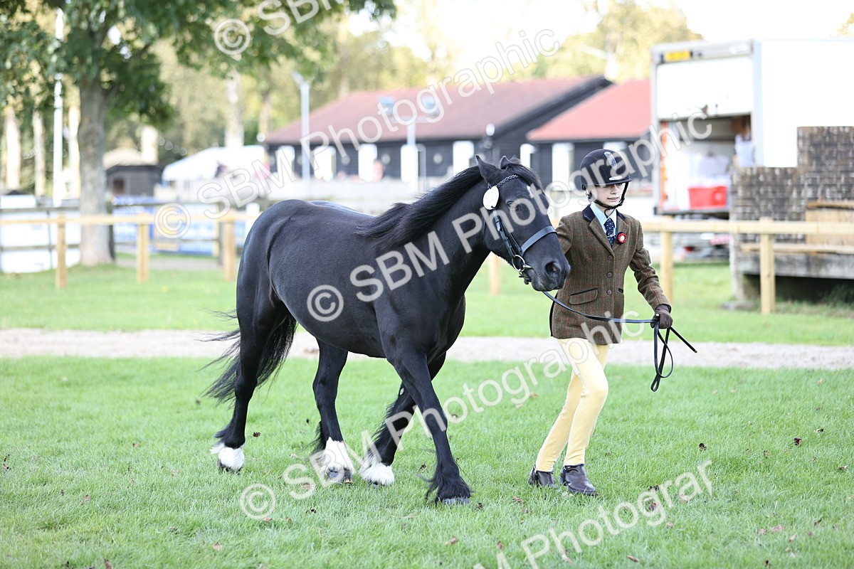 SBM_26244 - S5 - Novice & Newcomers In Hand