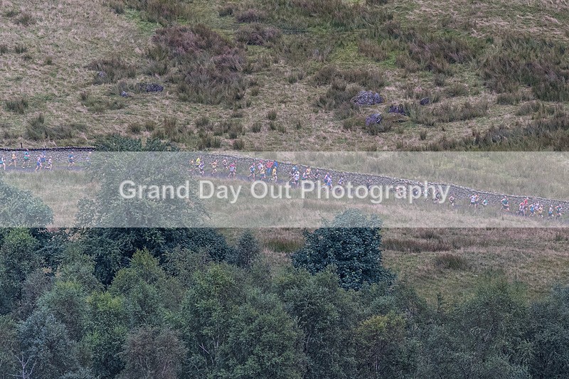 Steel Fell-16 - Steel Fell Race Wednesday 7th August 2024