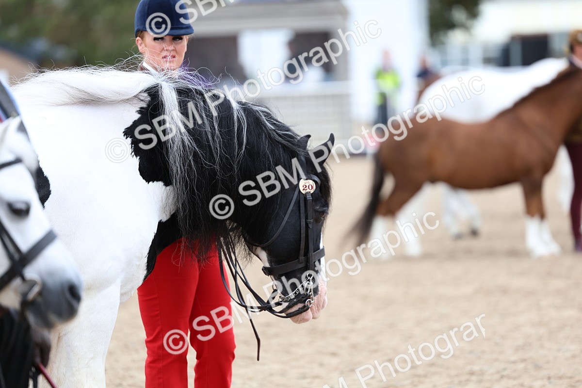SBM_05950 - Class 29 - IH Veteran Pony