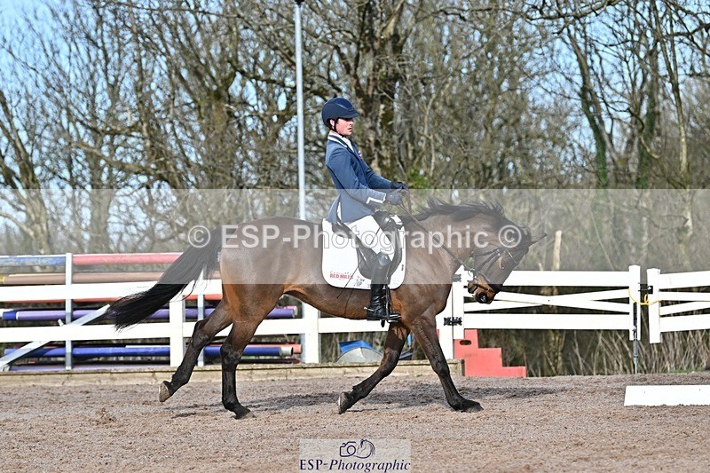250125-120541-00397 - Dressage - CT Class 5 BE95 (90cm)