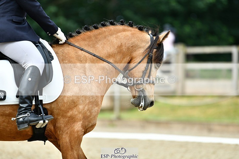 230623-095542-01920 - Cls 2 Prelim 19Q Start to 10.04 break