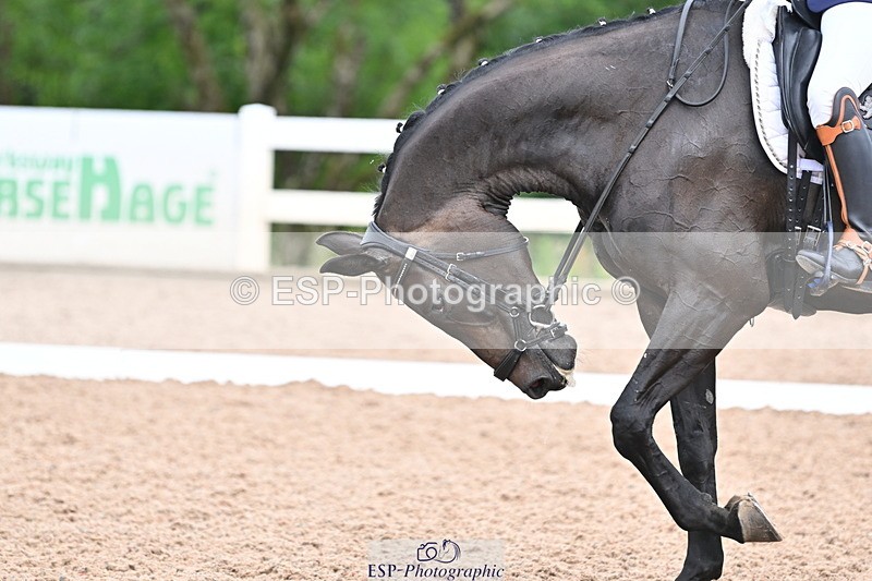 240623A-100656-16414 - Cls 45 BD Prelim 19