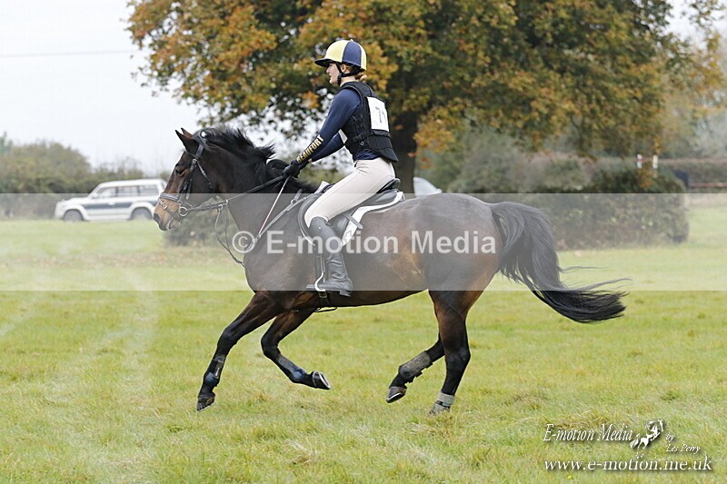 WWHT 181020 WWHT 181020 428 - WWEC Open Novice (0.80m) 18/10/20