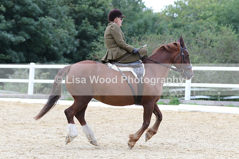 0I1A7069 - Class 9: Prelim Freestyle to Music