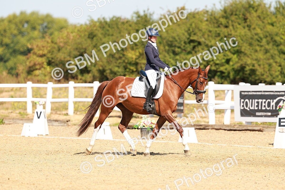 SBM_017634