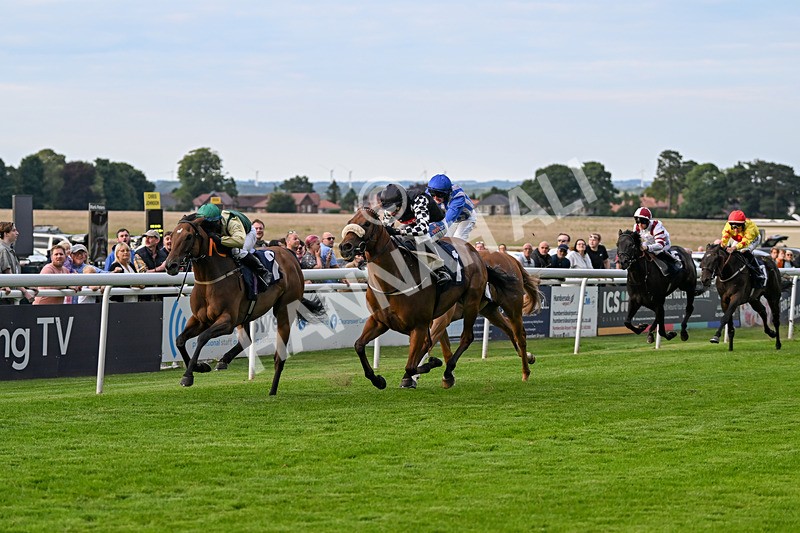 220724-Race 5-King Sharja-1982 - Race 5