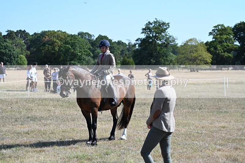 WJ7_3953 - Class 9 Mountain & Moorland Ridden