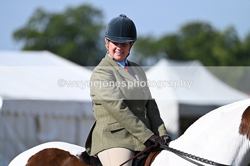 WJ7_2883 - Class 8 Ridden Tack & Turnout