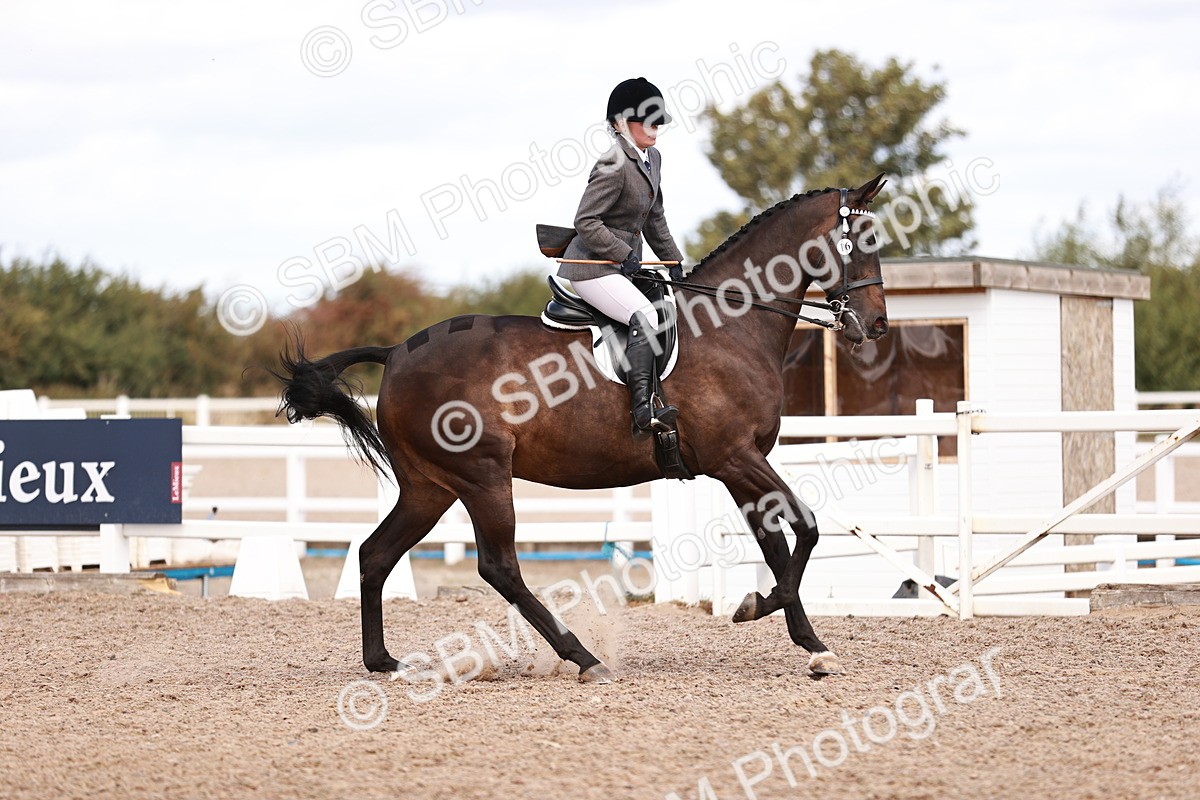 SBM_14464 - Class 410 - Grassroots Ridden - Horse