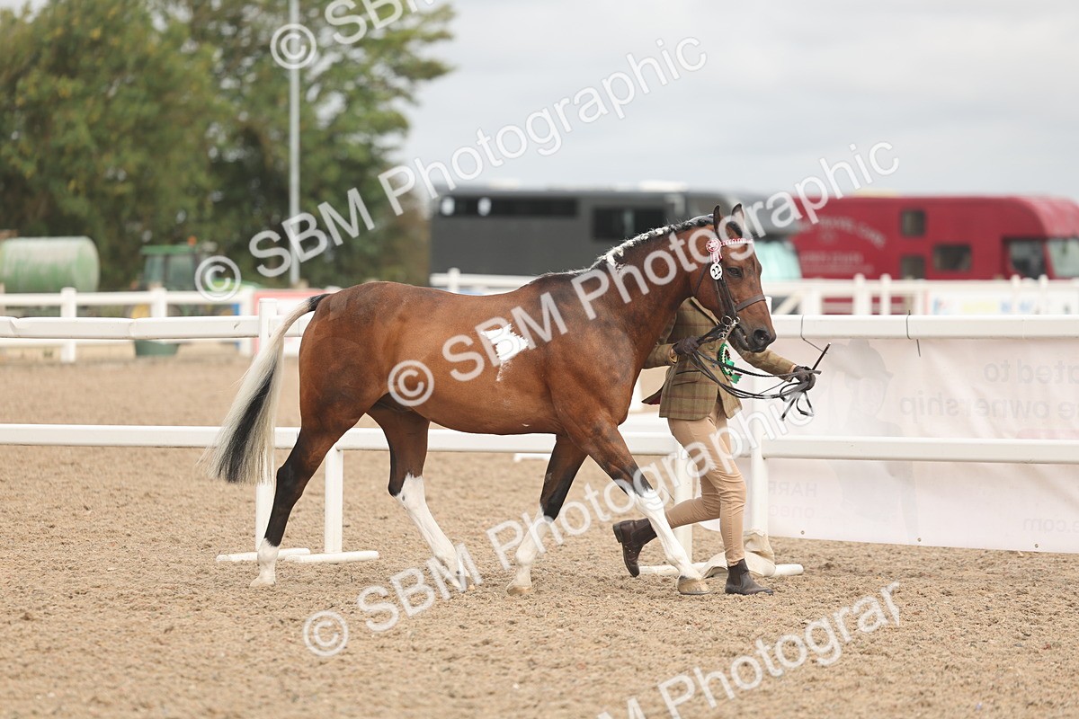 SBM_02157 - Class 15 - IH Coloured