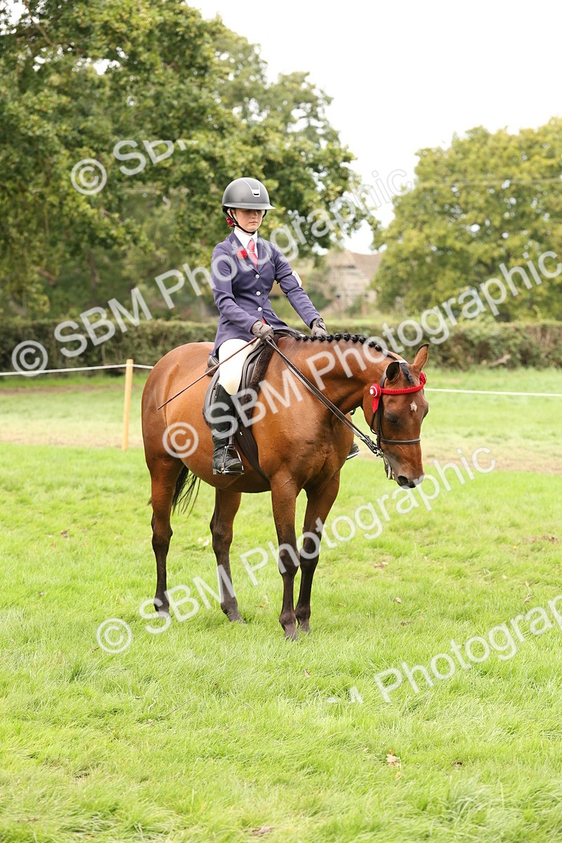 SBM_64281 - S65 - Riding Horse & Hack & Thoroughbred Ridden