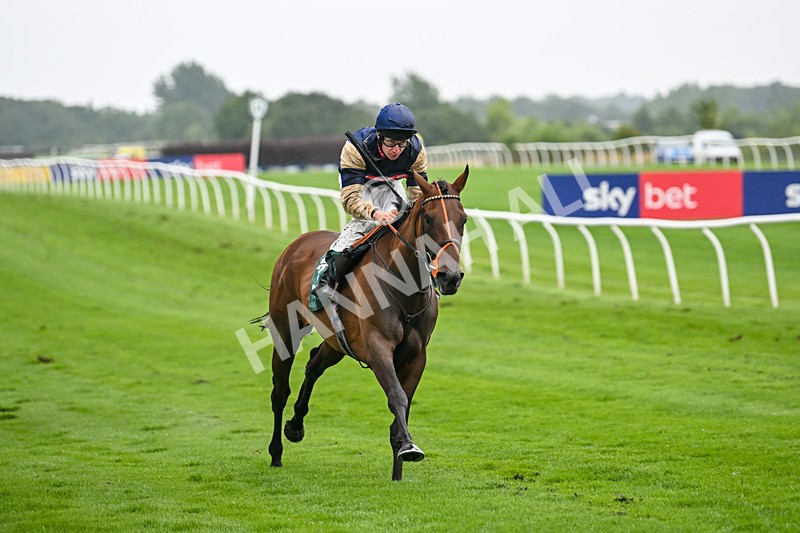 230725-Race 5-Bosphorus Rose-0467 - Race 5