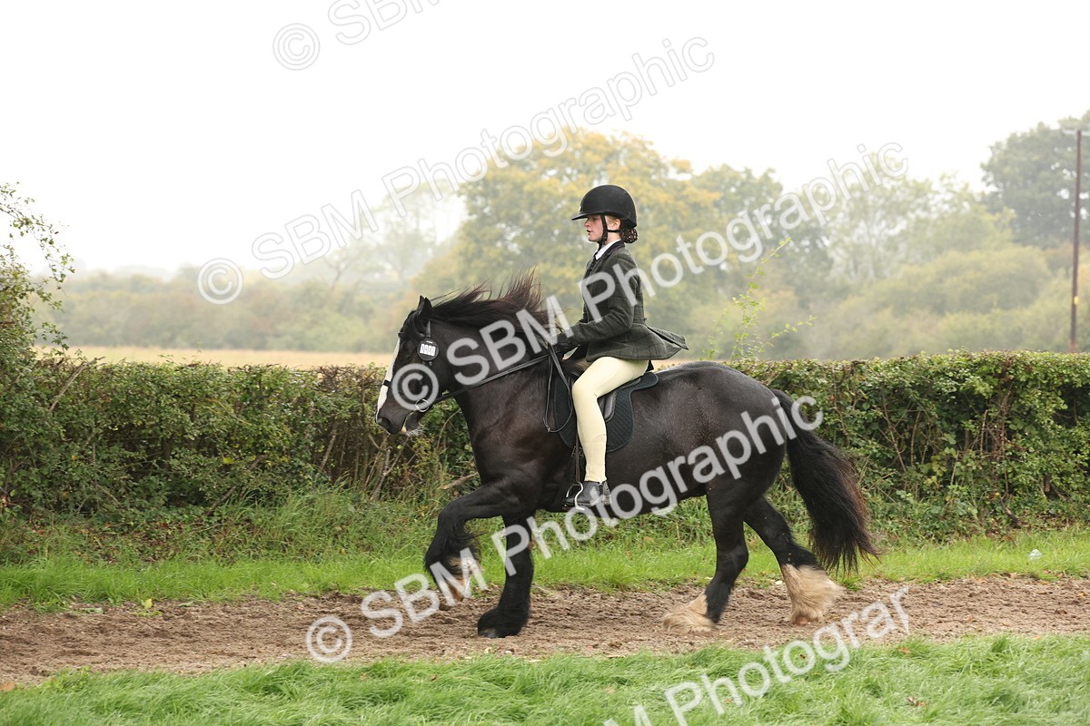 SBM_72727 - S70 - Traditional Cob Ridden