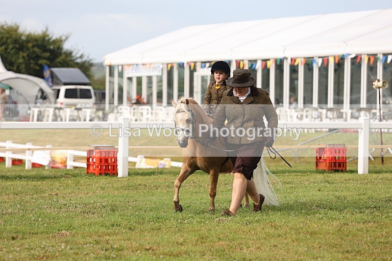 JPP_0393 - Class 14: Cornish Combination Leading Rein
