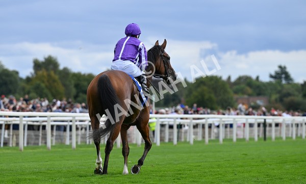 210825-131 Minnie Hauk - Race 4 3.35pm Pertemps Network Yorkshire Oaks