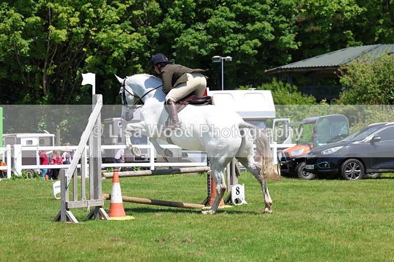 3E7A7494 - Class 31: Working Hunter Cob/Riding Horse