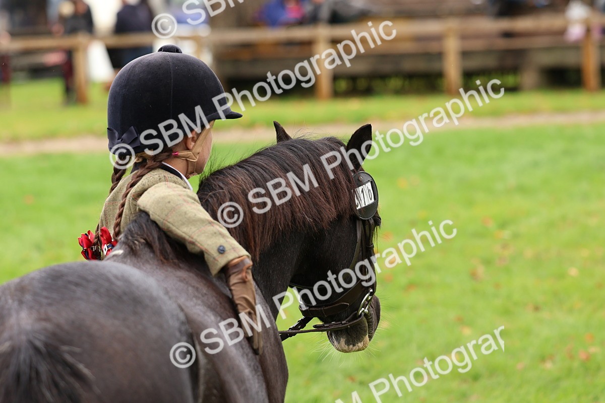 SBM_39350 - S24 - Young Veteran In Hand