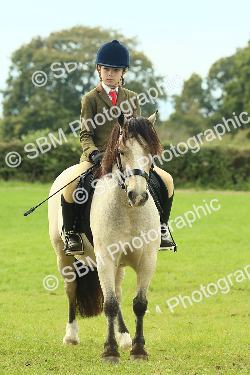 SBM_69980 - S59 - Mountain & Moorland Ridden Small Breeds
