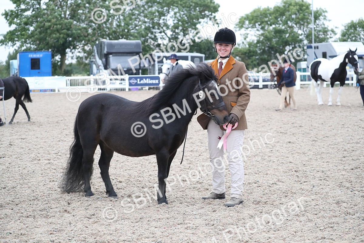 SBM_18421 - Class 318 IH Part bred Horse/Pony
