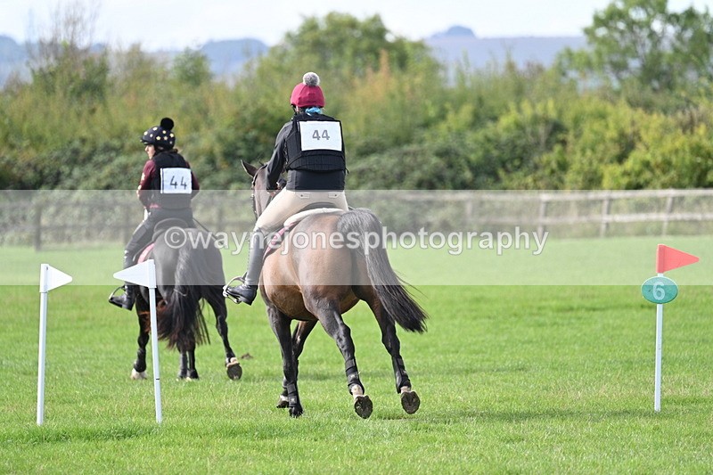 WJ7_8291 - 60cm Pairs