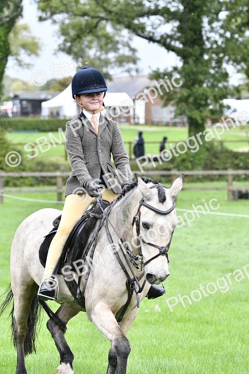 SBM_35534 - S30 - Nursery Stakes Working Hunter Pony