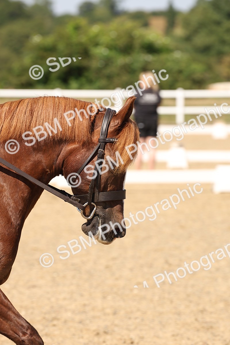 SBM_005796 - Prelim 4 - 13.34-15.39