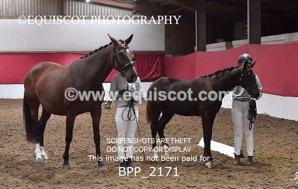 BPP_2171 - AFTERNOON 12.30 - 3.30PM