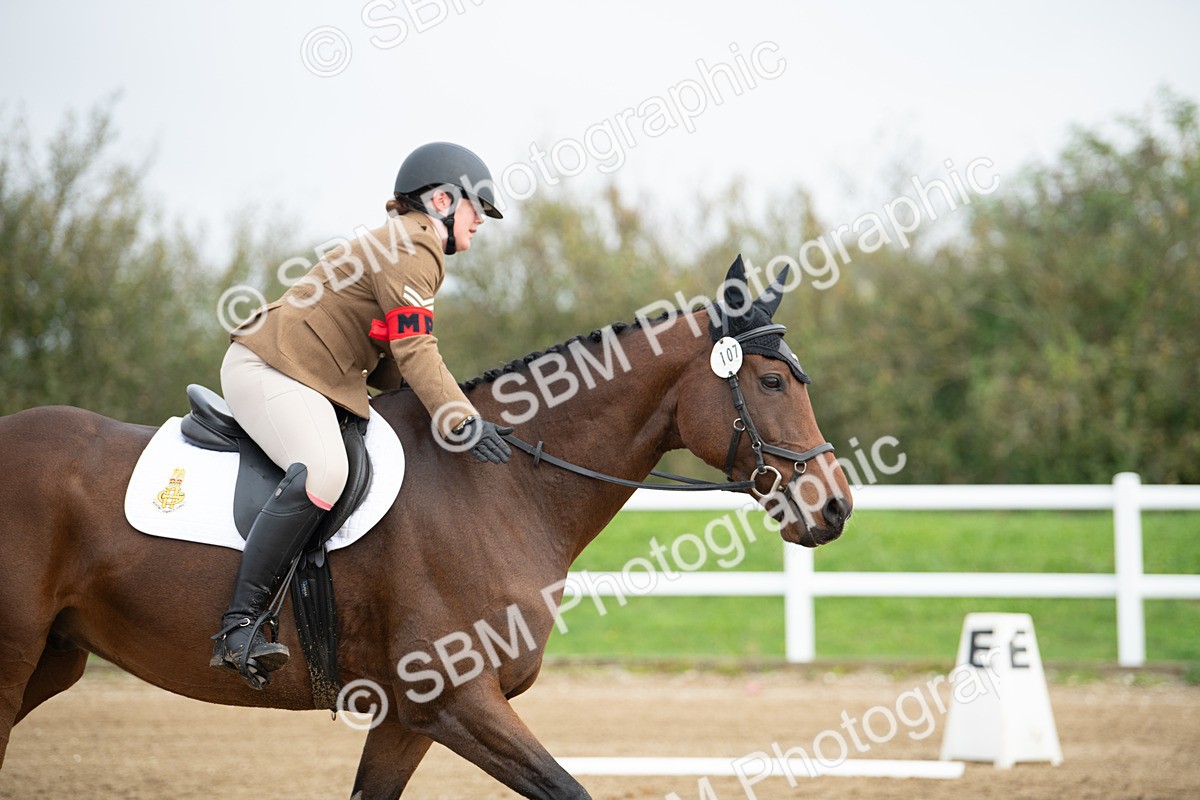 SBM_003558 - Introductory Test 3