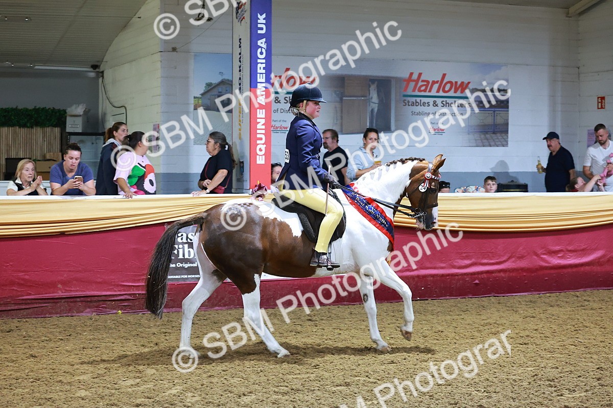 SBM_14934 - Class L - Coloured Champ
