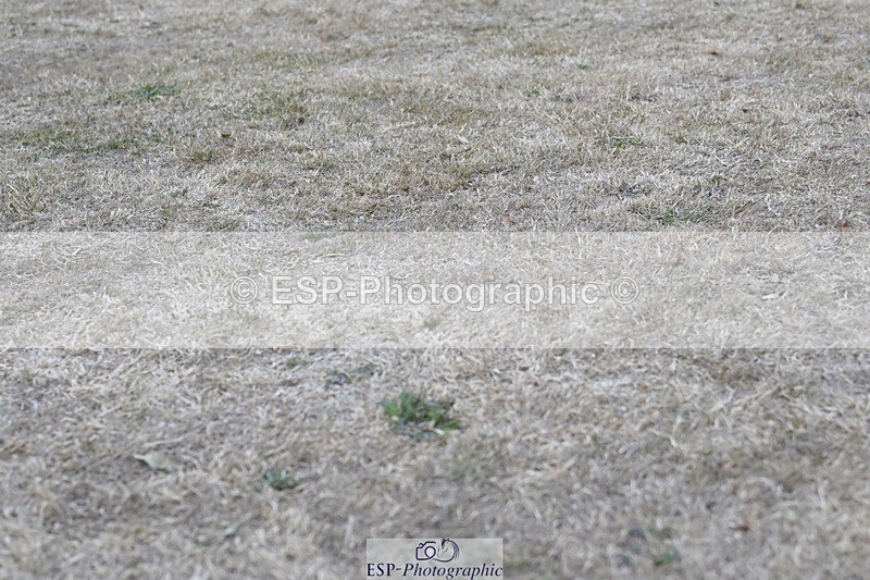 250823A-185232-34543 - All Sat Presentations