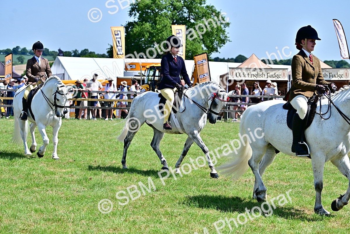 SBM_15284 - Class 95-97 - BSPS LHS Performance Ponies