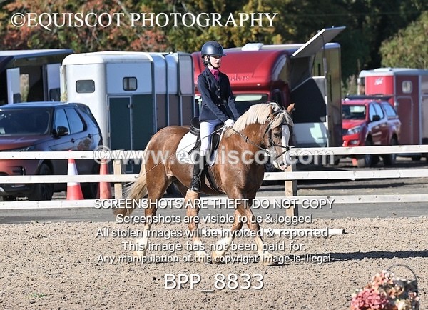 BPP_8833 - SHORT ARENA INTRO 2