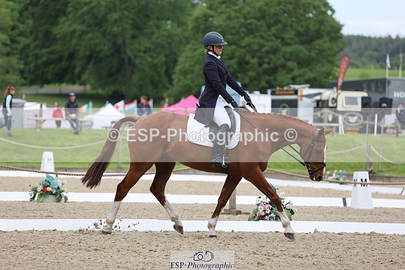 240524-090502-07053 - 251-MILESTONE_GOLD-Gaby_Bull