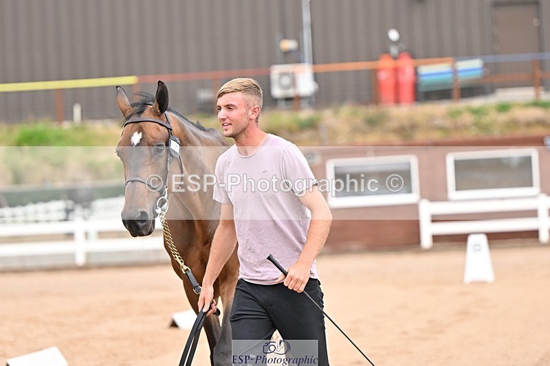 250716-150358-01607 - Trot Up 2.30 to 3.30