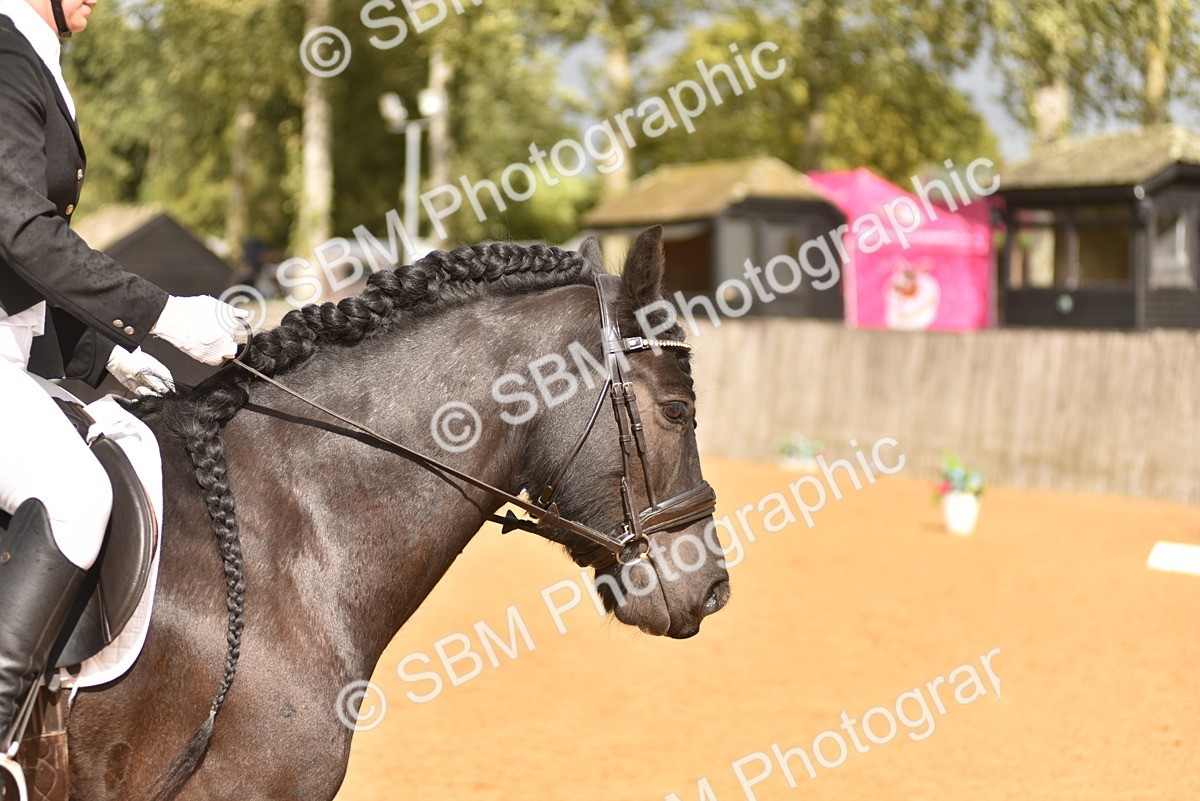 SBM_10130 - D15 - Small Tour Championship Novice 1