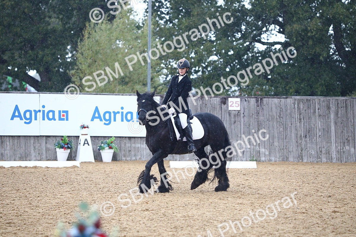SBM_42835 - D21 - Junior Championship Intro 1