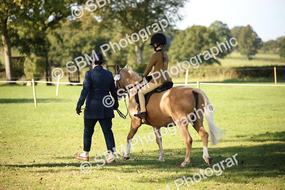 SBM_35713 - S9 - Lead Rein Equitation