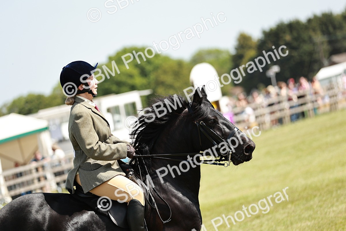 SBM_07071 - Class 26-30 - Mountain and Moorland Ridden