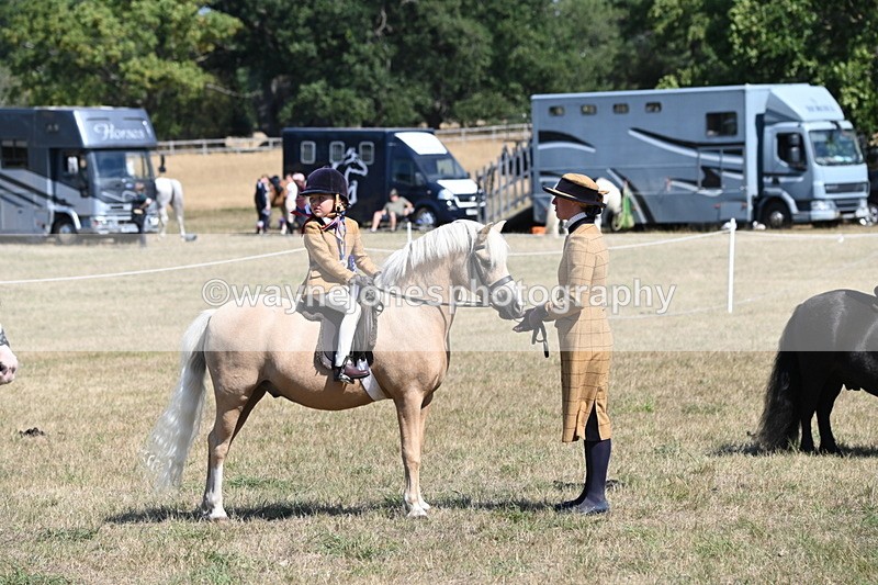WJ6_9251 - Championship Classes 33-38
