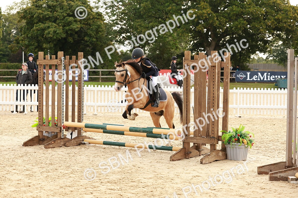 SBM_57674 - J11 - Junior Pony 50cm Championship