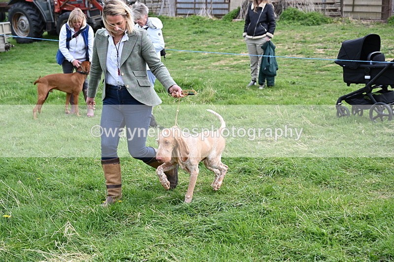 WJ6_8155 - Class 2 Best Pedigree