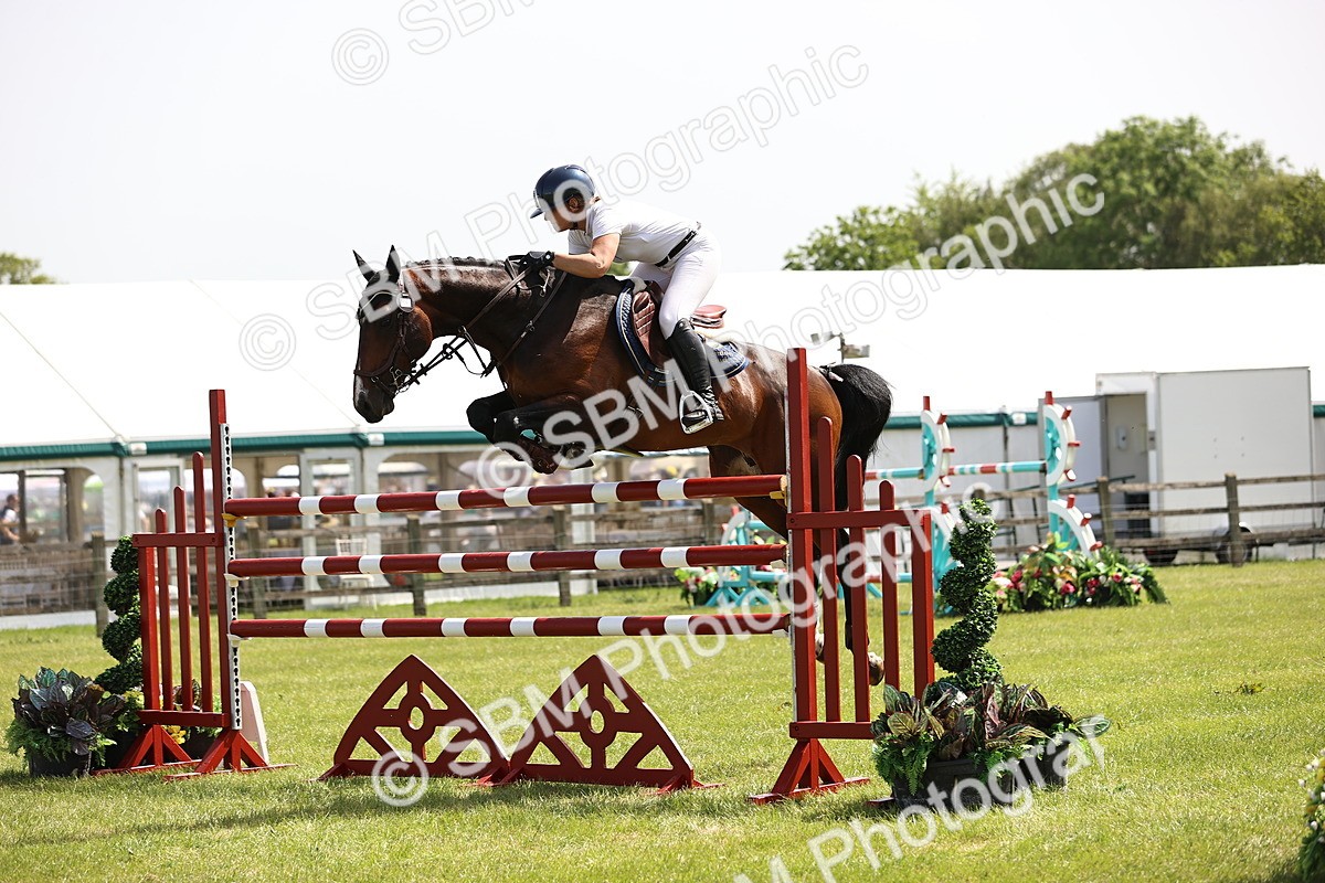 SBM_03947 - Class 201 - British Horse Feedds Speedi Beet HOYS Grade C